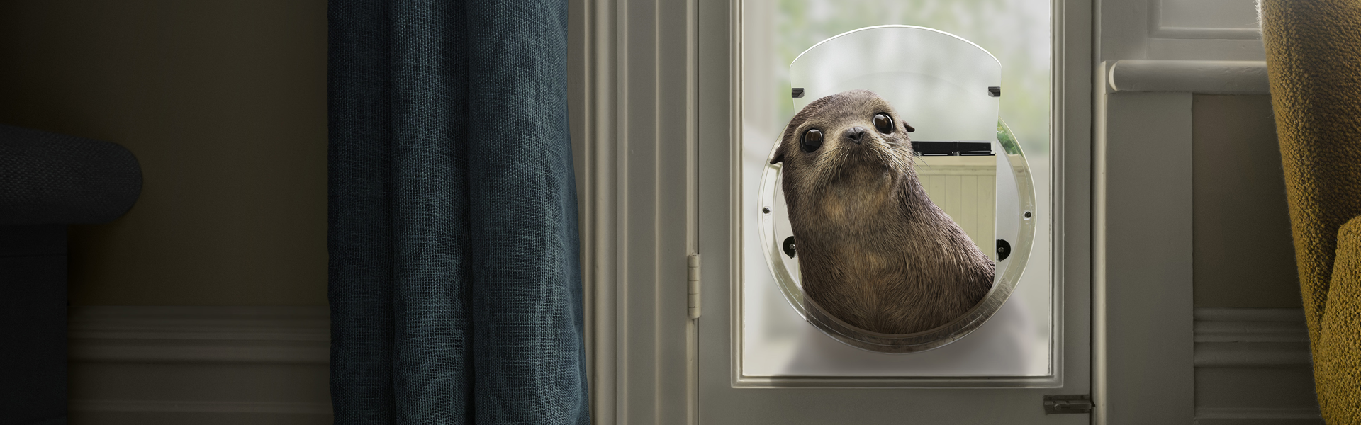 Seal at pet door.