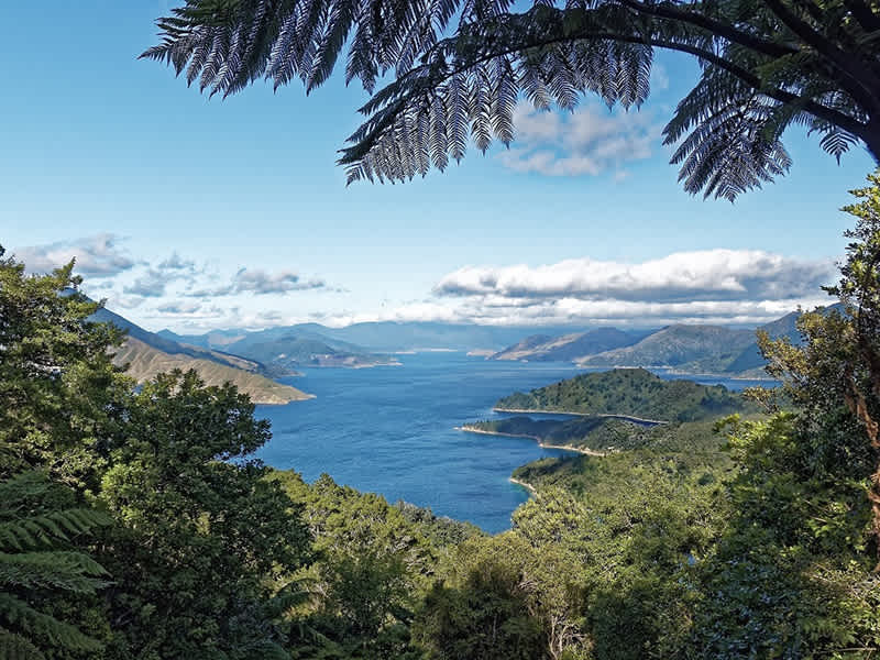 beautiful Aotearoa landscape