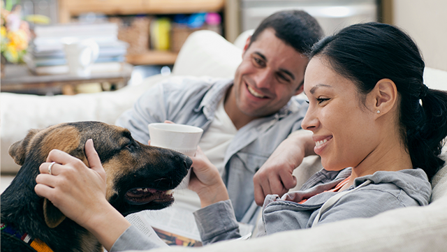 Couple stroking dog.