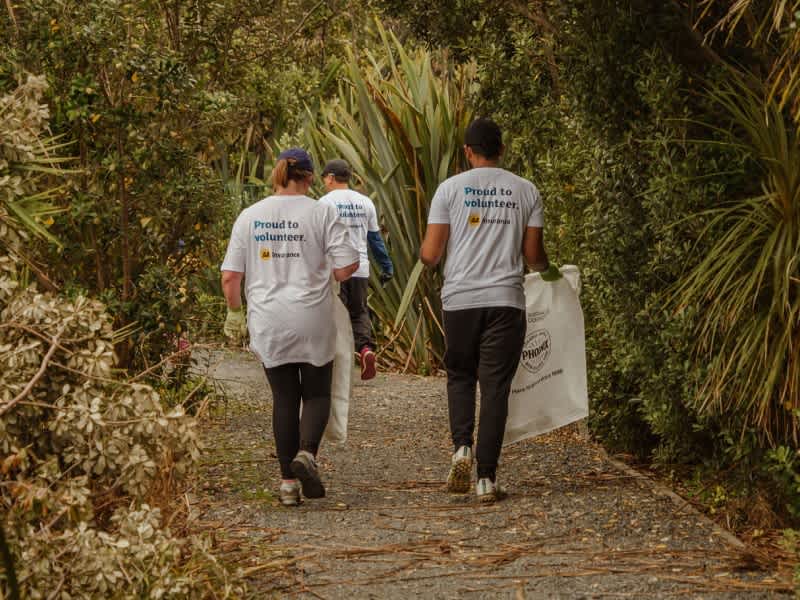 AA Insurance volunteers picking up litter.
