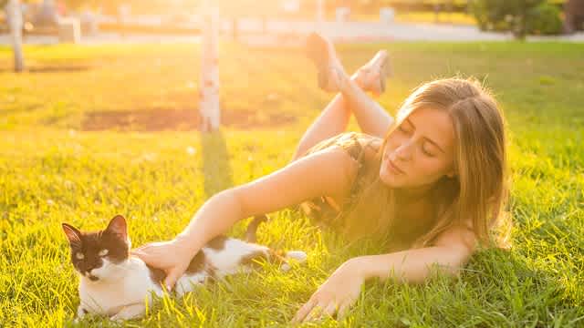 Girl plays with cat