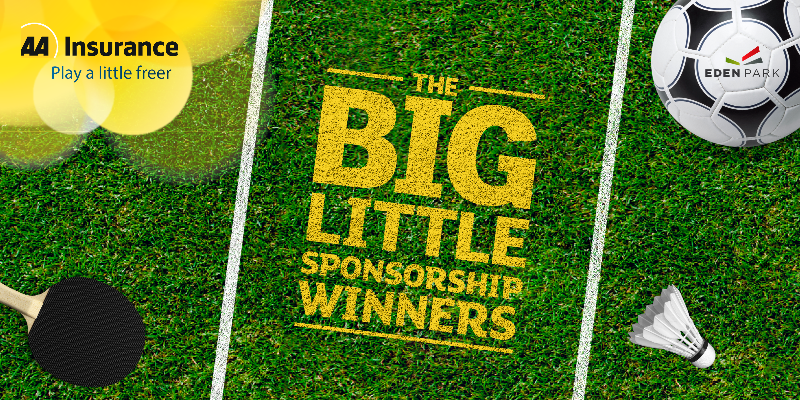 Big Little Sponsorship 2025 winners