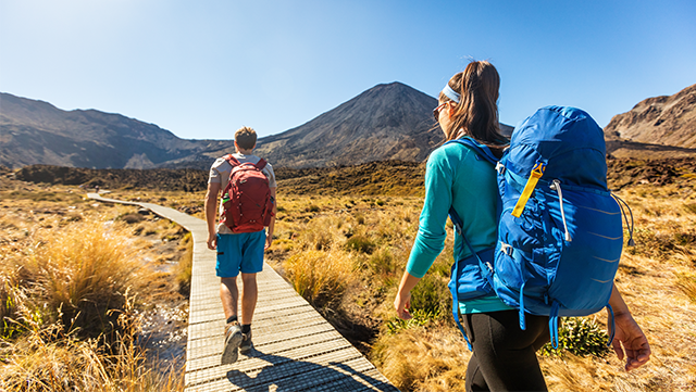 Two people walking through a landscape